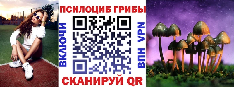 blacksprut вход где купить наркоту Юхнов Псилоцибиновые грибы ЛСД